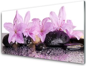 Panel Szklany Perlista Rosa na Lilii Wodnej