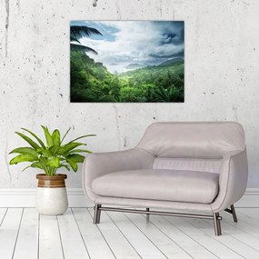Obraz - Dżungla Seszeli (70x50 cm)