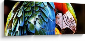 Obraz - Papuga (z zegarem) (90x30 cm)