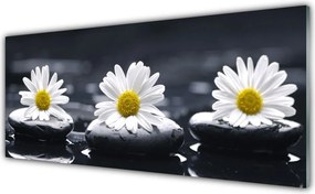 Panel nad blat kuchenny Stokrotka Wśród Kamieni