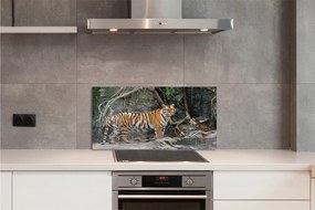 Szklany Panel Dżungla tygrys