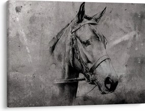 Obraz - Portret konia (70x50 cm)