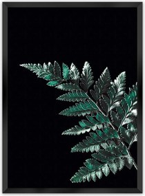 Plakat Dark Fern Leaf