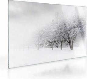 Obraz na szkle - Zimowa aleja (70x50 cm)