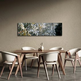 Obraz - Detal gałęzi (170x50 cm)