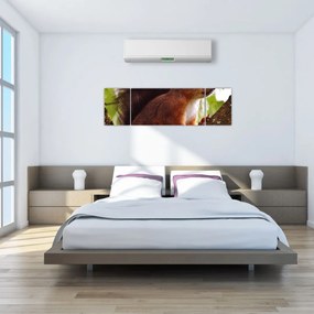 Obraz wiewiórki (170x50 cm)