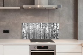 Szklany Panel Czarno-Biała Fotografia Drzew