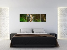 Obraz biegnącego tygrysa (170x50 cm)