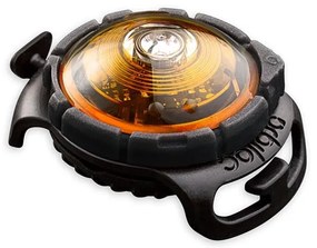 Lampka LED na obrożę Yellow – Orbiloc