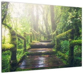 Obraz - drewniane schody w lesie (70x50 cm)