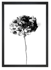 Obraz 24x29 cm Velvet Flower – Vavien Artwork
