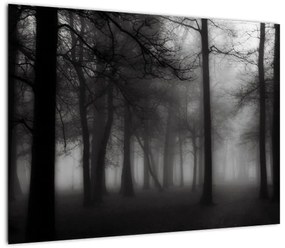Obraz na szkle - Las we mgle (70x50 cm)