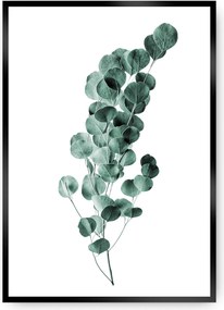 Plakat Eucalyptus Emerald Green