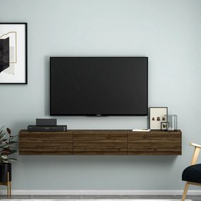 Stolik pod telewizor Terra Walnut