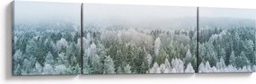 Obraz - Ośnieżone szczyty lasów (170x50 cm)