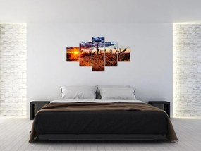 Obraz - Złota godzina pustyni (125x70 cm)