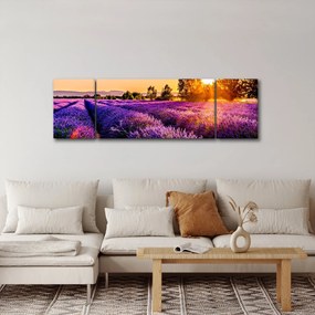 Obraz lawendowego pola (170x50 cm)
