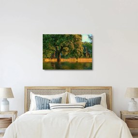 Obraz na szkle - żyrafy w naturze (70x50 cm)