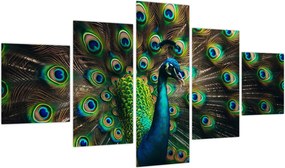 Obraz – Paw (125x70 cm)