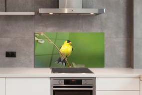 Panel Kuchenny Szklany Słoneczna Żółta Papuga