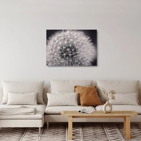 Obraz na szkle dmuchawca (70x50 cm)