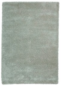 Jasnozielony dywan 160x220 cm Sierra – Think Rugs