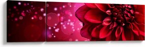 Obraz czerwonego kwiatu (170x50 cm)