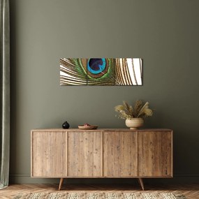 Obraz pawich piór (z zegarem) (90x30 cm)