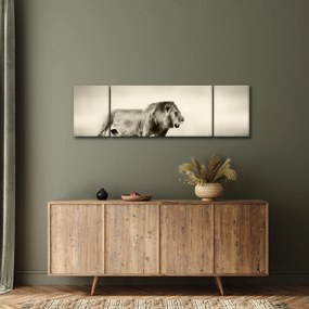 Obraz - Głodny lew (170x50 cm)