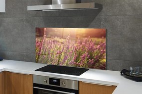 Szkło do Kuchni na Ścianę Rozległe Pole Wrzosów