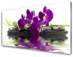 Panel Szklany Kwiaty Roślina Natura