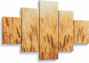 Obraz - pole z ziarnami (125x70 cm)