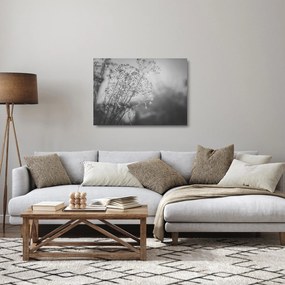 Obraz na szkle - Łąka po deszczu (70x50 cm)