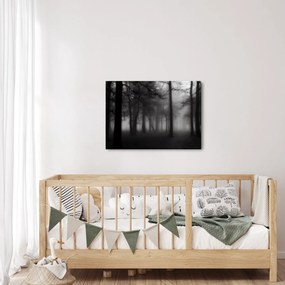 Obraz - Las we mgle (70x50 cm)