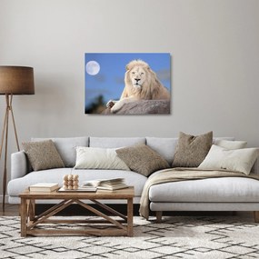 Obraz na szkle - Biały lew (70x50 cm)