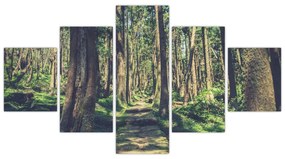 Obraz ścieżki pomiędzy drzewami (125x70 cm)