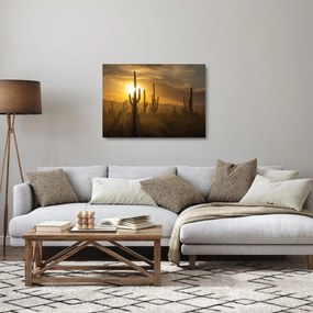 Obraz na szkle - Kaktusy Saguaro (70x50 cm)
