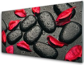 Panel Szklany Płatki Kwiatów na Kamieniach