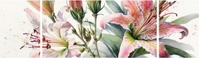 Obraz - Lilie, ilustracje (170x50 cm)