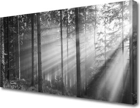 Obraz canvas na ścianę Kaskada nad Górską Przepaścią