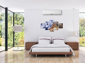 Obraz wilka (125x70 cm)