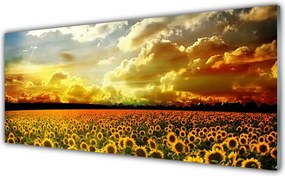 Panel nad blat kuchenny Bezkresne Pole Słoneczników