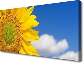 Fotoobraz na płótnie Słonecznik pod Letnim Niebem
