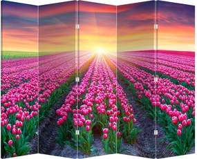 Parawan - Pole tulipanów ze Słońcem (210x170 cm)