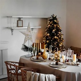 Solight LED gwiazda bożonarodzeniowa na stojaku, biała, 45 cm, 10x LED, 2x AA