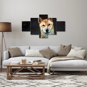 Obraz psa (125x70 cm)