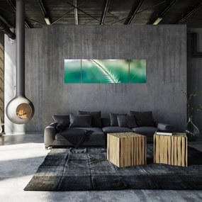Obraz źdźbła trawy (170x50 cm)