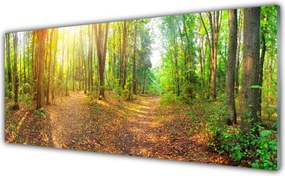 Panel Szklany Słoneczny Prześwit w Lesie