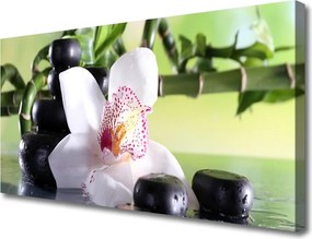 Obraz canvas Promienie Słońca w Zielonych Liściach