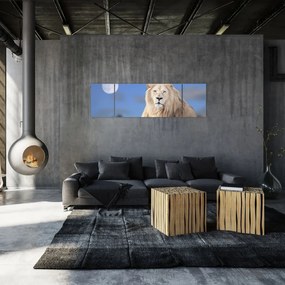 Obraz - Biały lew (170x50 cm)
